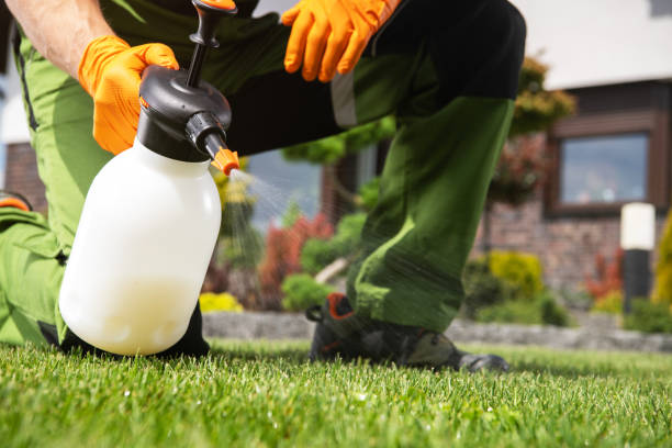 Best Best Pest Control Companies  in Pompton Lakes, NJ