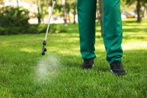 Best Termite Control Services  in Pompton Lakes, NJ