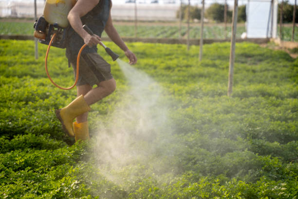 Best Ant Control Services  in Pompton Lakes, NJ