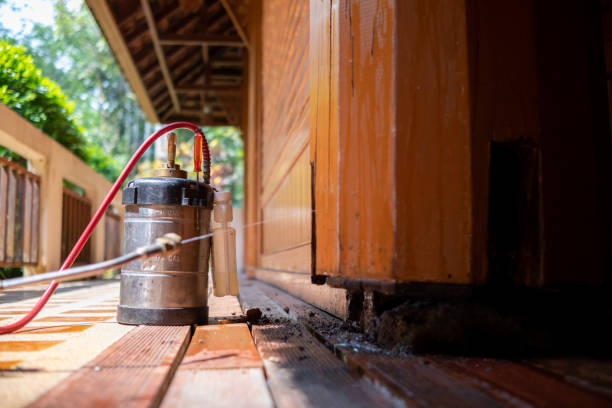 Best Pest Removal Services  in Pompton Lakes, NJ