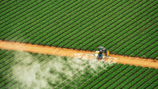 Best Mosquito Control Services  in Pompton Lakes, NJ