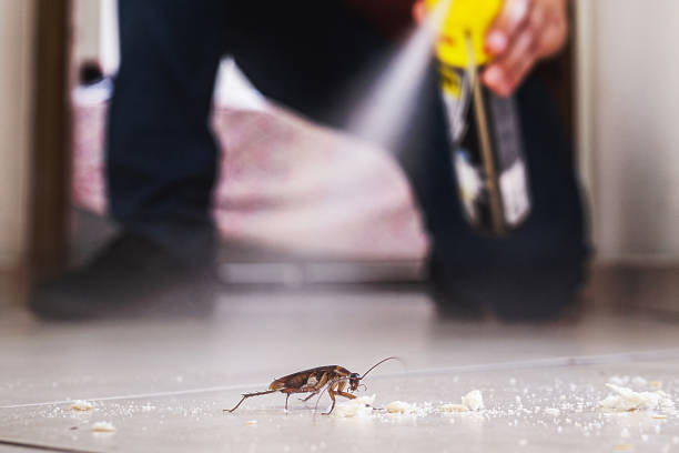 Best Bird Control  in Pompton Lakes, NJ
